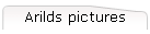 Arilds pictures